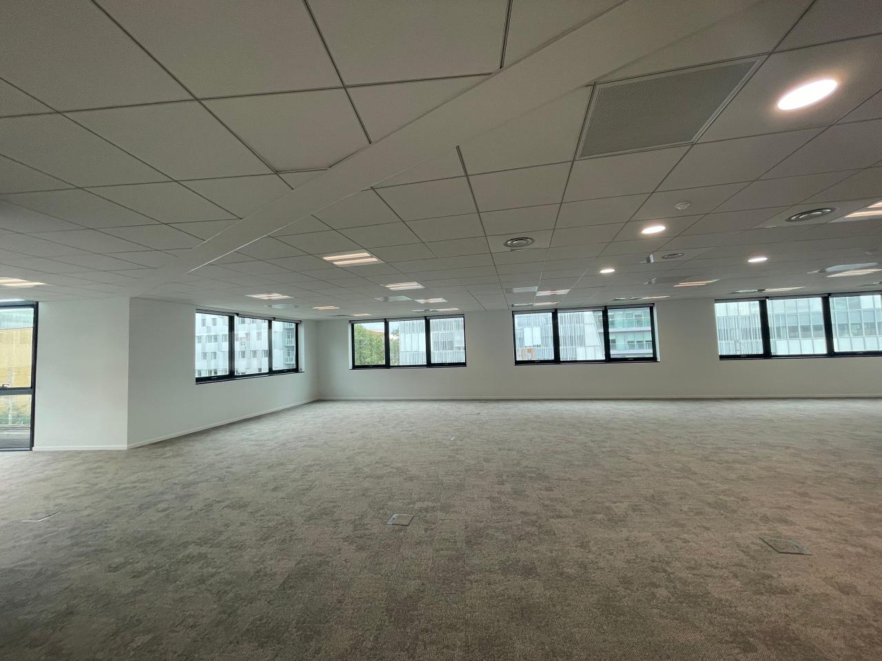 Bureau Lyon 5704m² Location bureau Lyon Rhône OLBUR2109182 6
